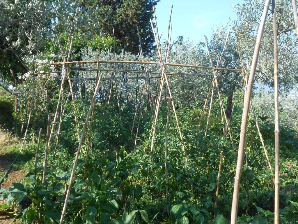 B&B Il Sentiero Di Assisi Ngoại thất bức ảnh