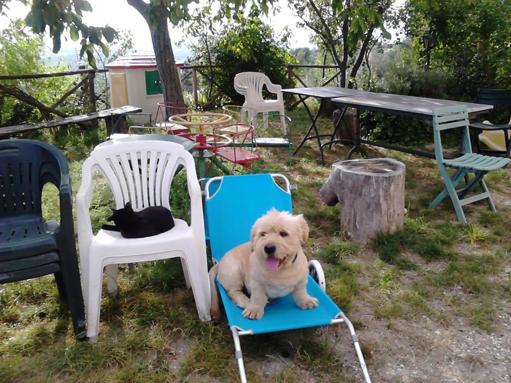 B&B Il Sentiero Di Assisi Ngoại thất bức ảnh